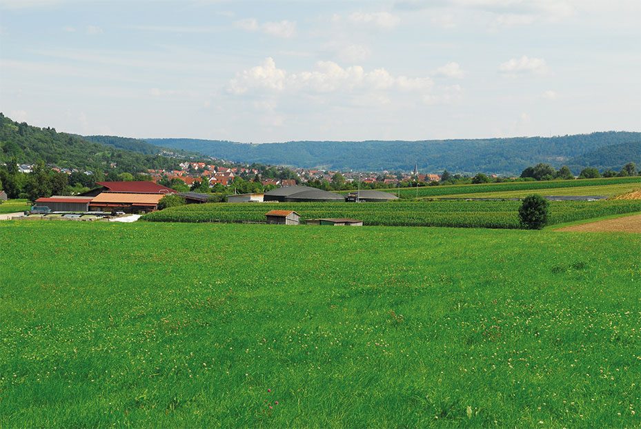 Individual Biogas Plant in Urbach, Deutschland